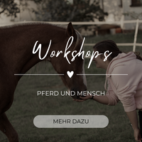 Workshops Pferd und Mensch